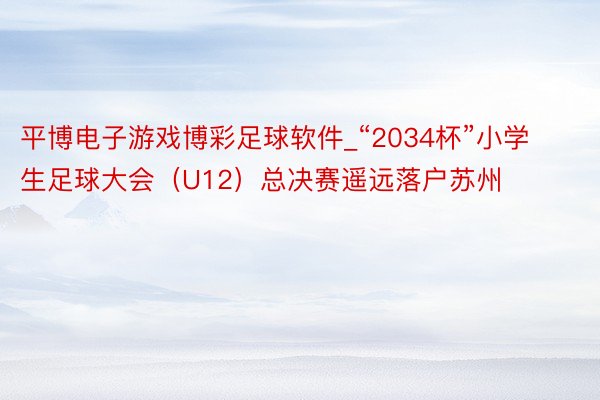 平博电子游戏博彩足球软件_“2034杯”小学生足球大会（U12）总决赛遥远落户苏州